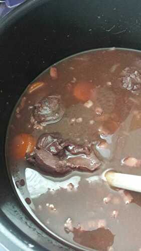 Bourguignon de daim au vin rouge