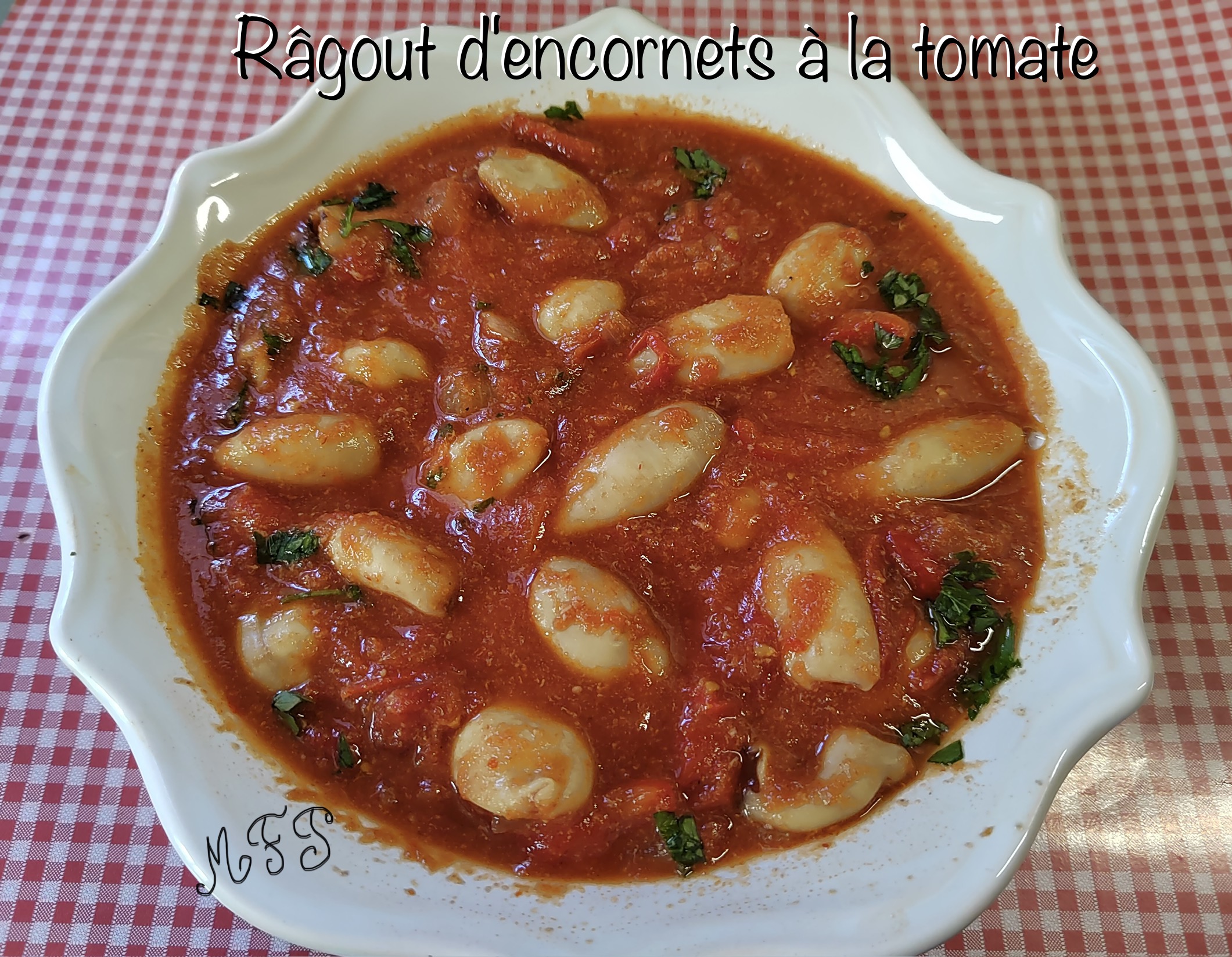 Râgout d'encornets à la tomate