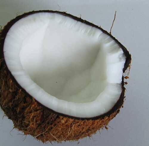 Crème Noix de coco sans œufs
