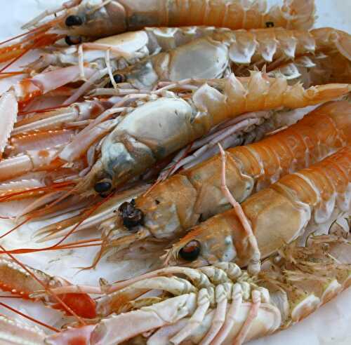 Langoustines fraîches