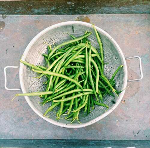 Purée de haricots verts frais