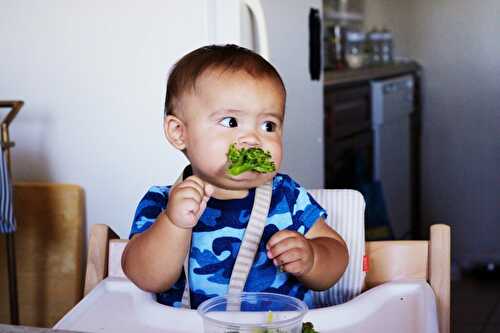 La diversification de bébé de 5 à 12 mois - Cookeo Mania