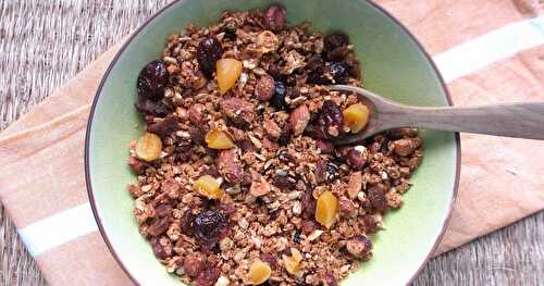 GRANOLA AUX FRUITS SECS