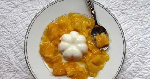 PANNA COTTA COCO-MANGUE