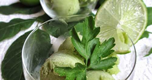 SORBET À L'AVOCAT