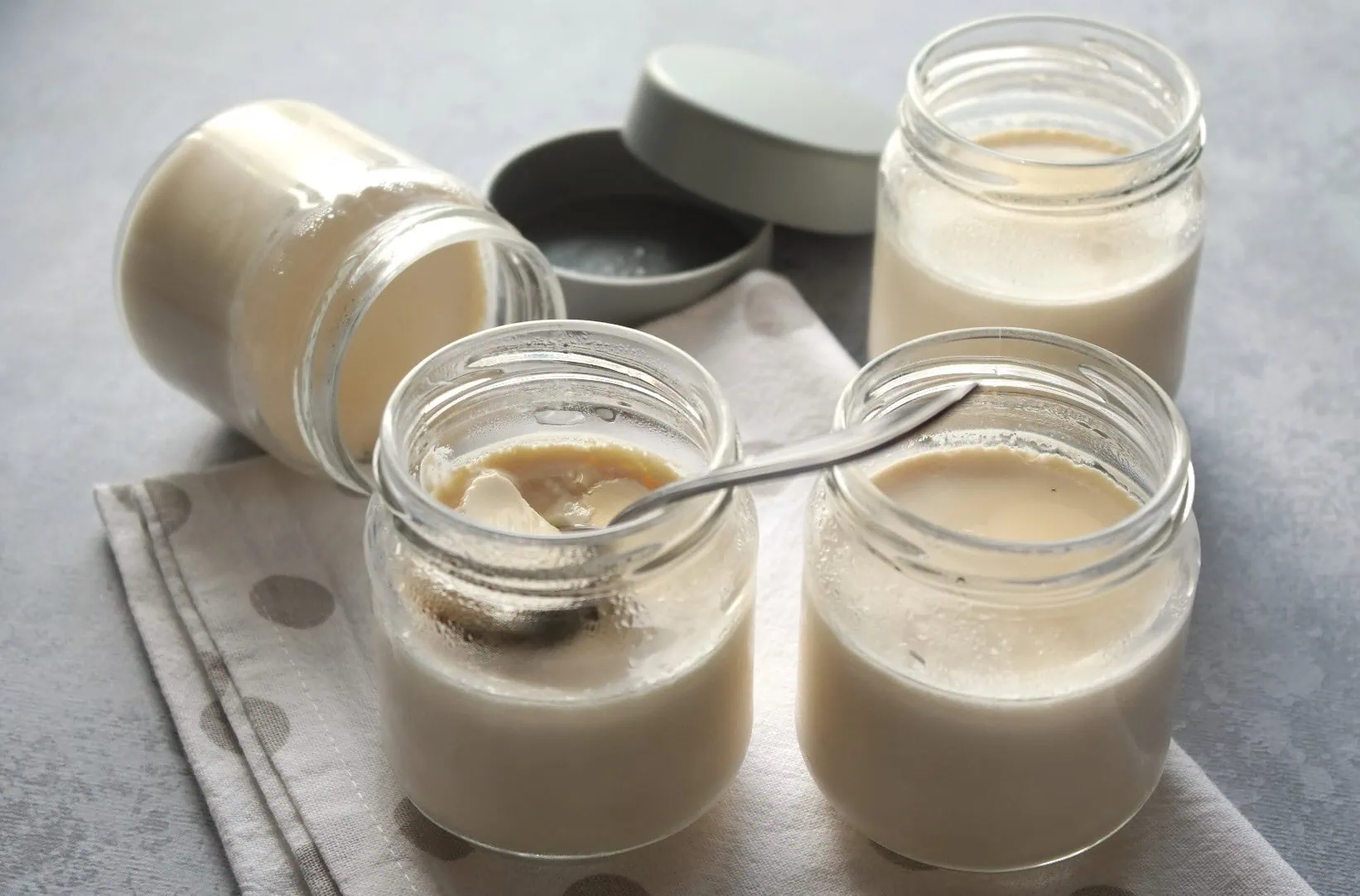 Yaourts au lait concentré non sucré