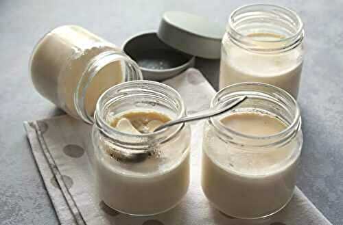 Yaourts au lait concentré non sucré