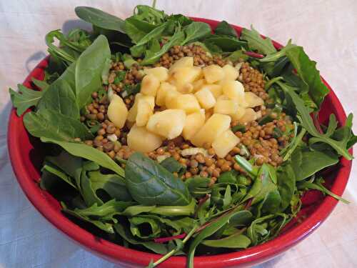 Salade de Lentilles Pommes de Terre et Epinards