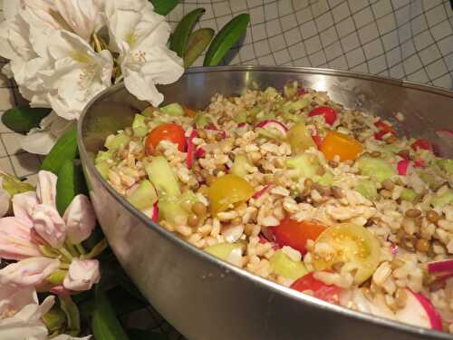 Salade de Riz aux Radis, Concombre, Tomates-Cerises & Lentilles