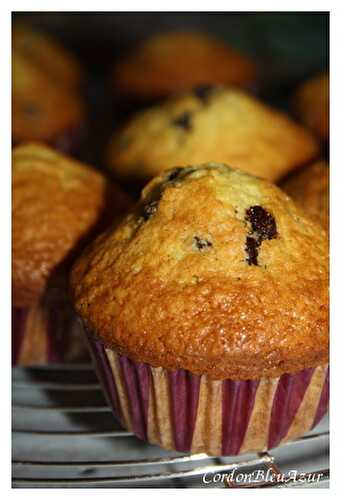 Muffins aux pépites de chocolat ou à la vanille et au pralin