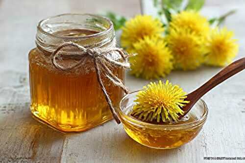 Confiture de pissenlit (Cramaillotte) : capturer le printemps en pot
