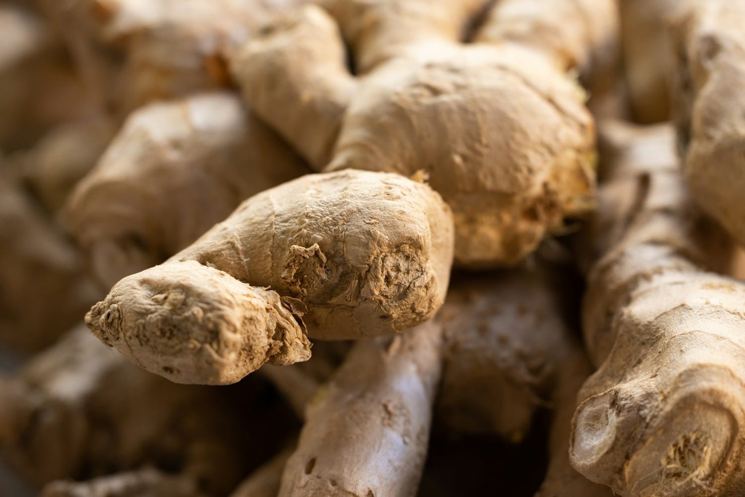 Comment consommer du gingembre frais ? astuces et recettes pour enfin tout comprendre