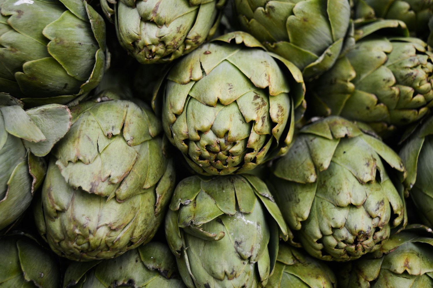Artichauts fondants au Cookeo et leur bouillon aromatique