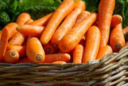 Aux Saveurs de Stéphanie Castelnau le Lez | fruits légumes