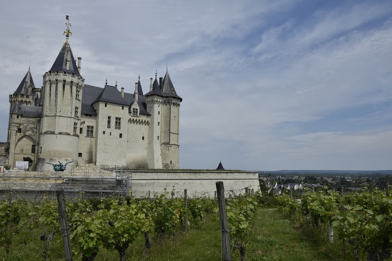 Tout savoir sur les vins du Val de Loire