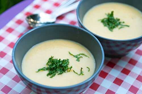 Soupe de carcasse de poulet