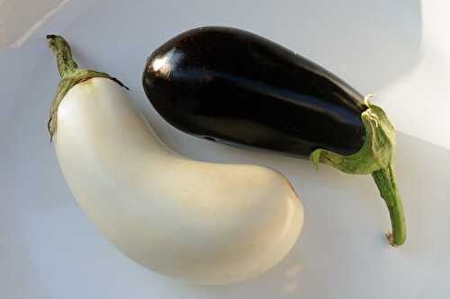 L’aubergine blanche