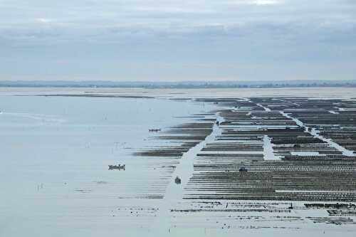 Les huîtres de Cancale, patrimoine culturel immatériel