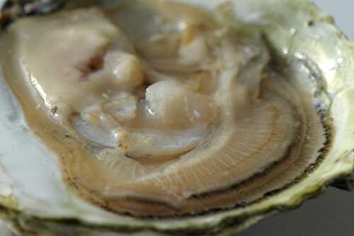 Les idées-minute Apprendre à aimer les huîtres – Cuisine à l'ouest
