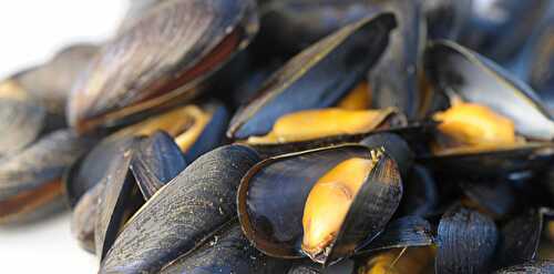 Quelles sont les meilleures moules ?