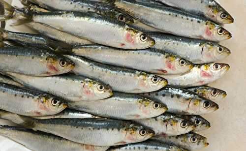 Comment préparer les sardines fraîches