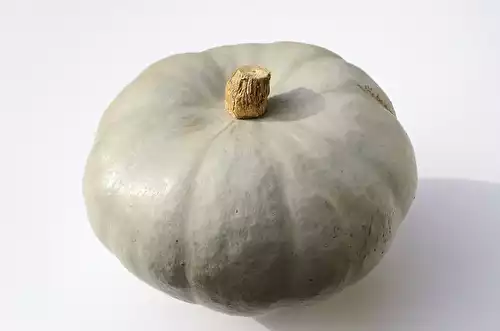 La courge crown prince