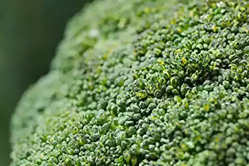 Le brocoli