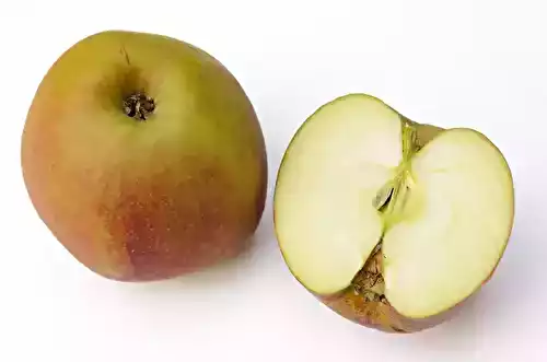 La pomme belle de Boskoop