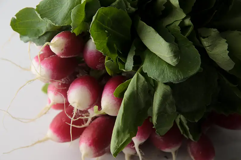 Fanes de radis : cette fois, on les utilise vraiment !
