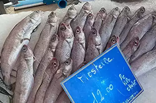 La mostelle, un poisson aux multiples visages