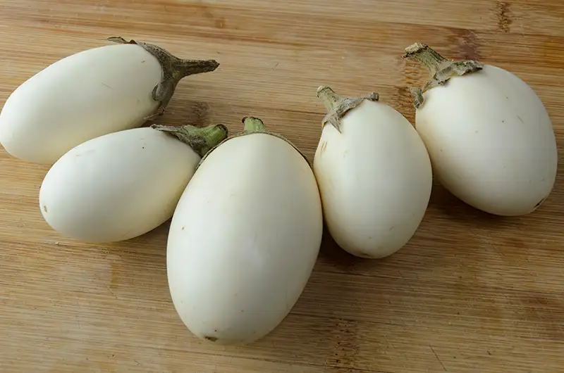 L’aubergine « à œuf », une curieuse variété ancienne