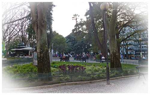 Balades dans Lisbonne : Campo de Ourique