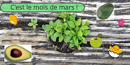 C'est le mois de mars !