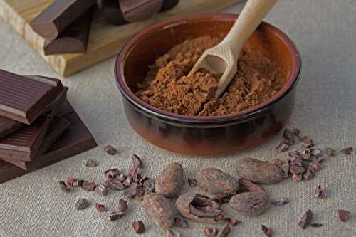 Du Cacao au Chocolat : Petite histoire et défis du 21º siècle