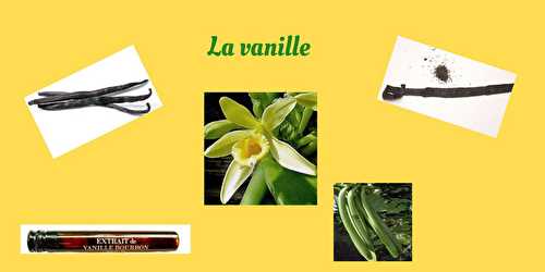 La vanille en cuisine