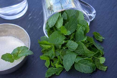 Sirop léger pour menthe à l’eau