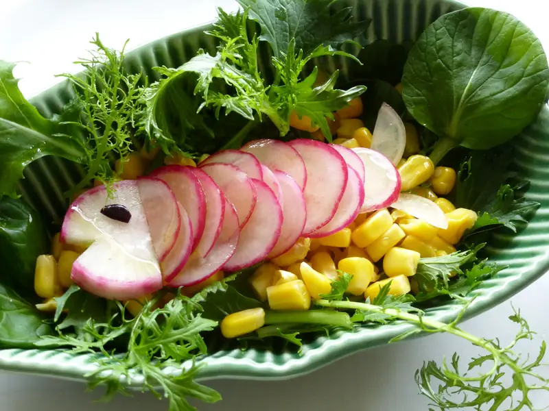 Poisson-radis en salade de Pâques