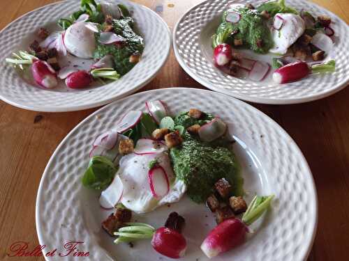 Œuf poché et son pesto de fanes de radis