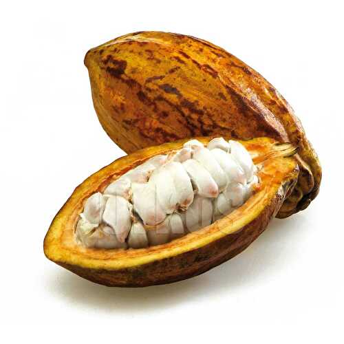 CACAO