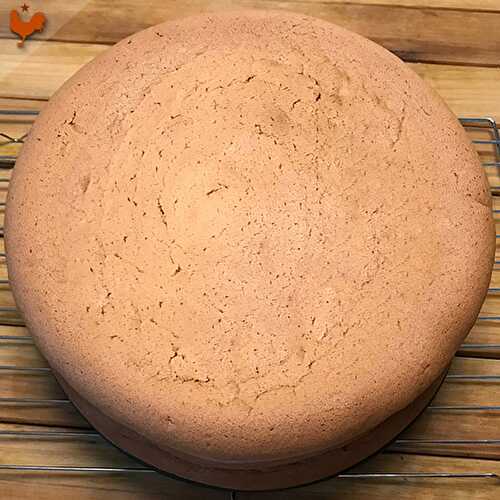Le Biscuit Chiffon Cake de Mich Turner