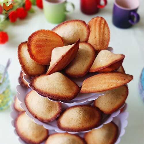 Les Madeleines Vanille de Lenôtre