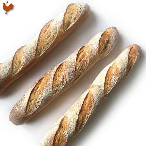 Recette des Baguettes (Méthode 1: Pâte Fermentée)