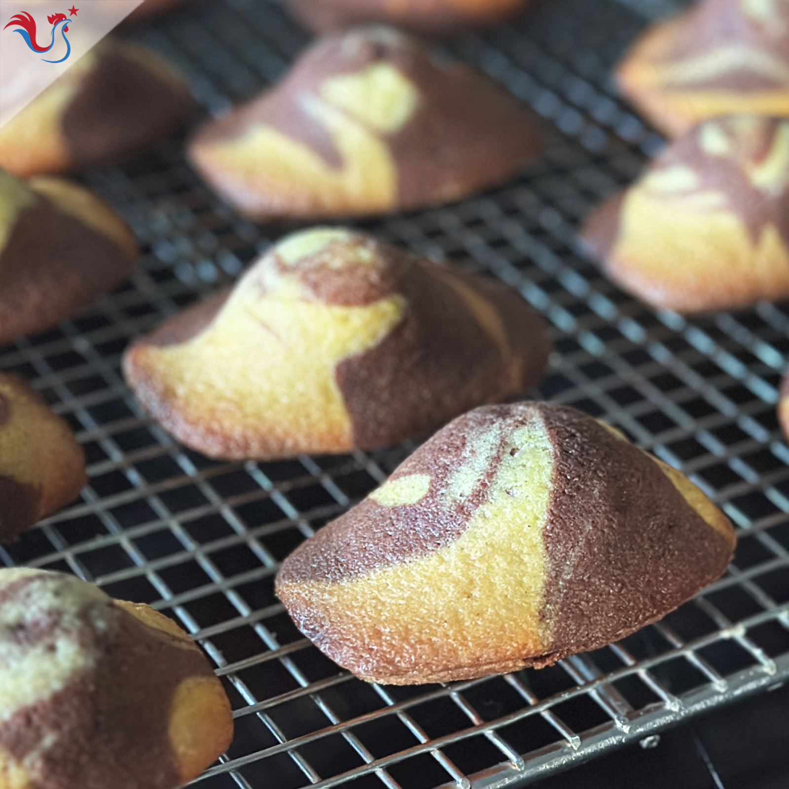 Les Madeleines Marbrées