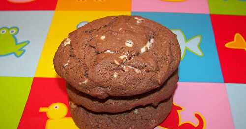 Biscuits au cacao et au chocolat blanc