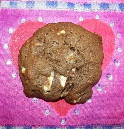 Biscuits au cacao et aux brisures de chocolat blanc