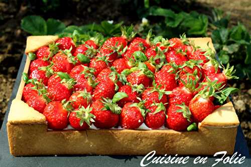 Cagette de fraises
