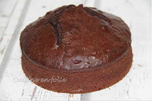Gâteau ultra-moelleux au chocolat