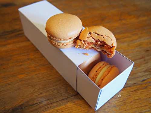 Macarons Caramel Fleur de sel