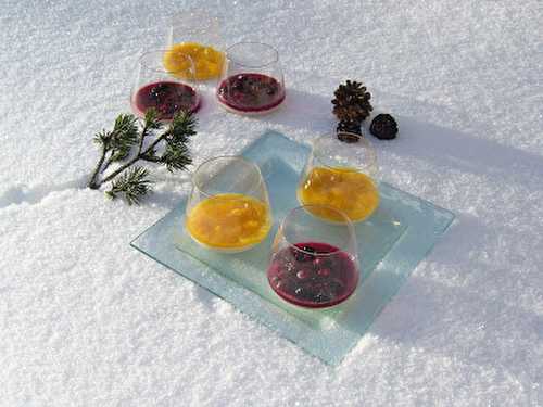 Panna cotta aux fruits rouges ou à la mangue