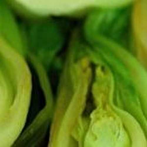 Bok choy super simple